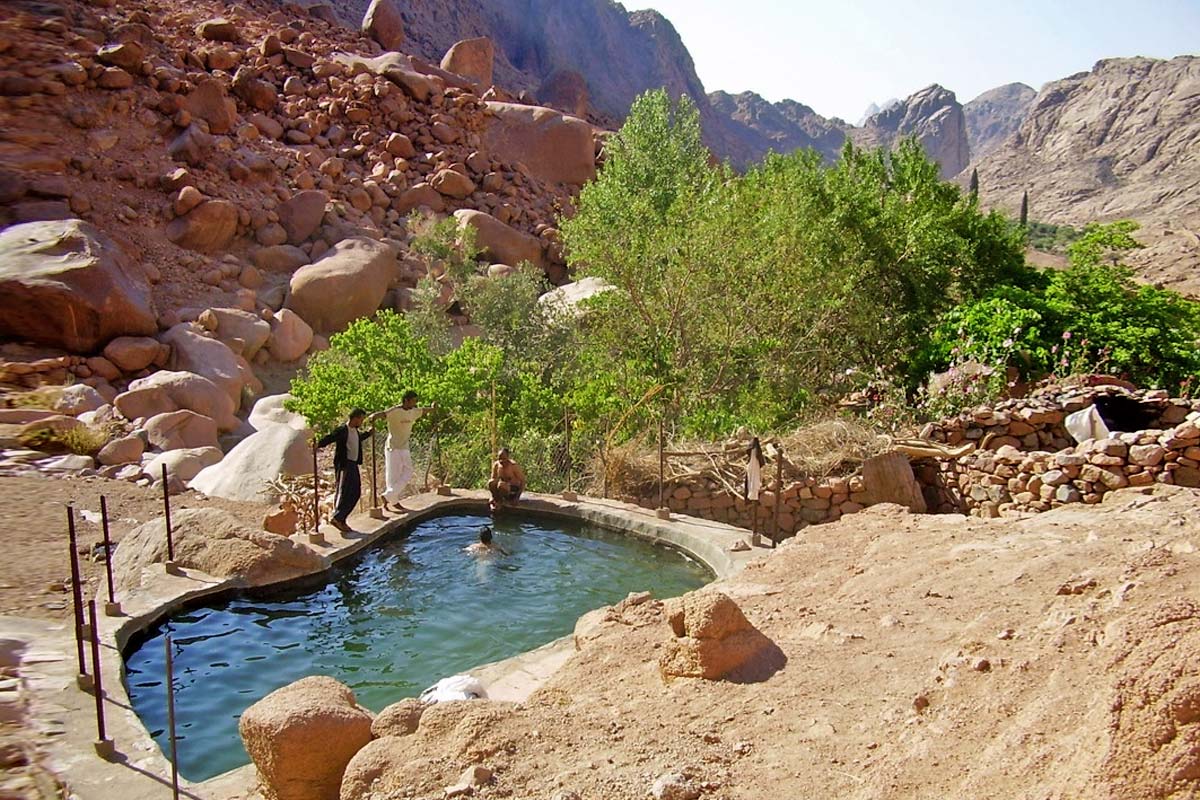 Bedouin gardens in the Sinai mountains