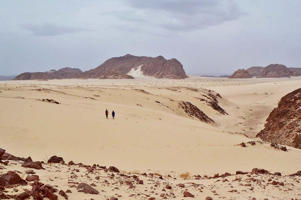 Sinai desert safari